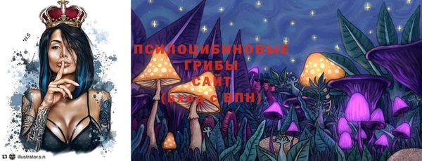 мдма Лагань