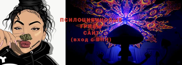 прущий лед Ладушкин