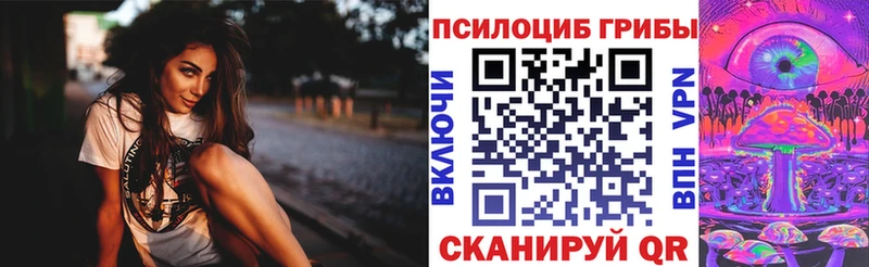 Псилоцибиновые грибы Psilocybe  Купить где  Жуковка 